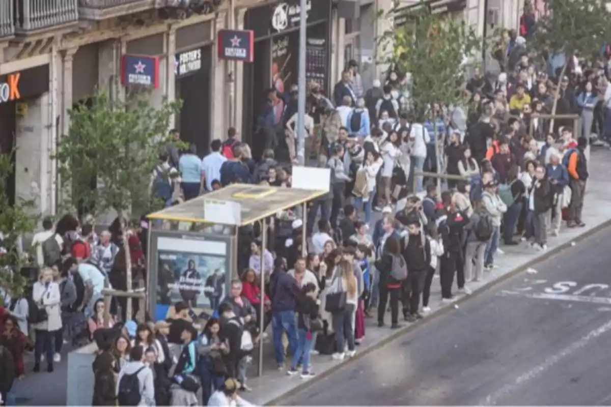 Una multitud de personas espera en una larga fila en la acera de una calle concurrida, frente a varios establecimientos comerciales y una parada de autobús. Una multitud de personas espera en una larga fila en la acera de una calle concurrida, frente a varios establecimientos comerciales y una parada de autobús.