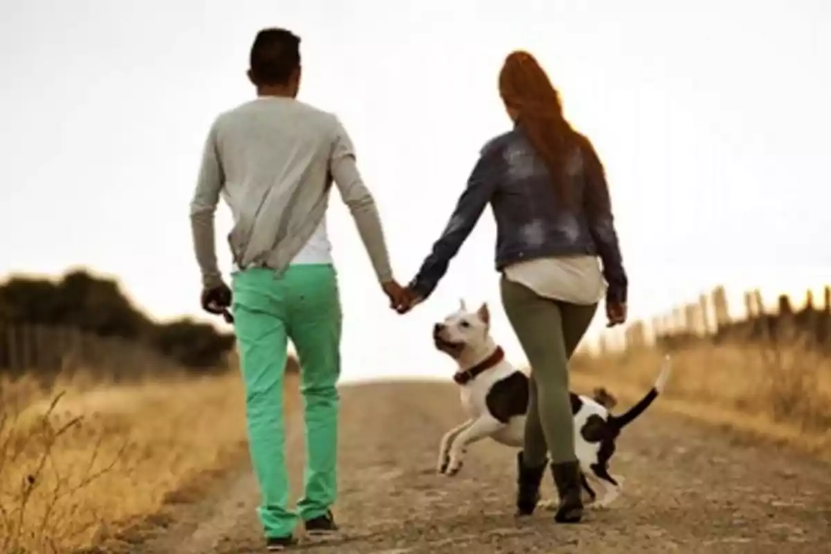 Una pareja caminando de la mano por un camino de tierra con su perro.