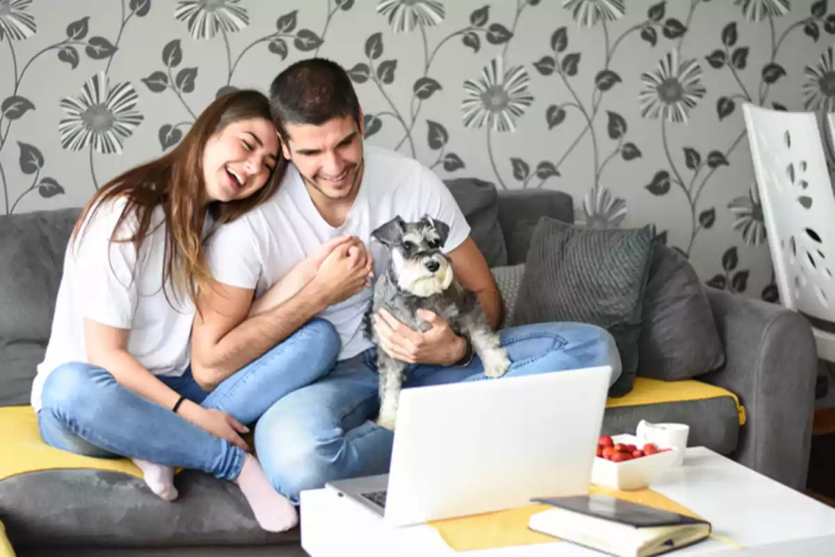 Una pareja sonriente sentada en un sofá con un perro en el regazo, mirando una computadora portátil sobre una mesa blanca con un cuaderno, una taza y un tazón de frutas, con un fondo de papel tapiz floral. Una pareja sonriente sentada en un sofá con un perro en el regazo, mirando una computadora portátil sobre una mesa blanca con un cuaderno, una taza y un tazón de frutas, con un fondo de papel tapiz floral.