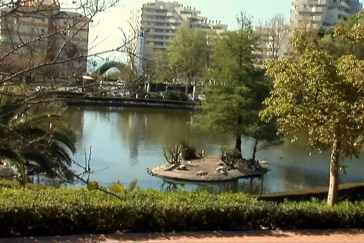 Vista de un pequeño lago con una isla en el centro, rodeado de árboles y edificios al fondo.