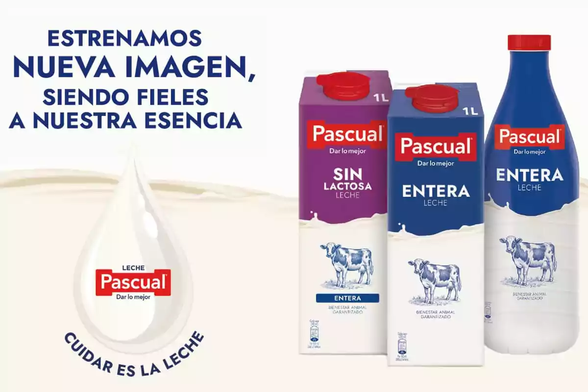 Envases de leche Pascual con nuevo diseño, incluyendo opciones sin lactosa y entera, acompañados de un mensaje sobre la esencia de la marca.