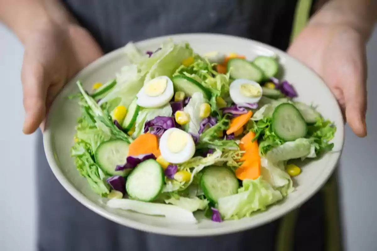 Persona sosteniendo un plato de ensalada fresca con lechuga, pepino, zanahoria, maíz, col morada y rodajas de huevo cocido.