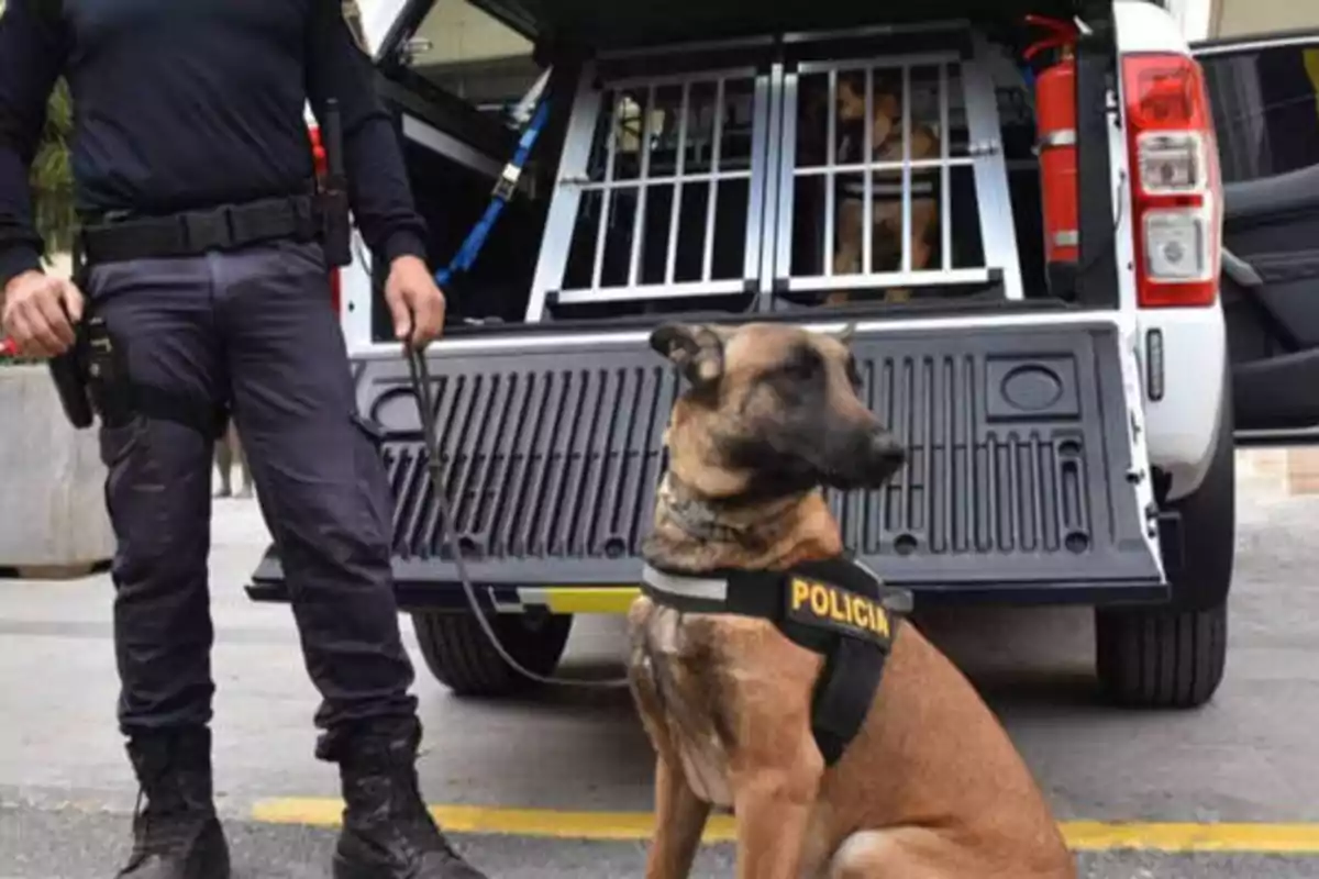 Un oficial de policía con un perro policía sentado frente a una camioneta equipada con jaulas para perros.