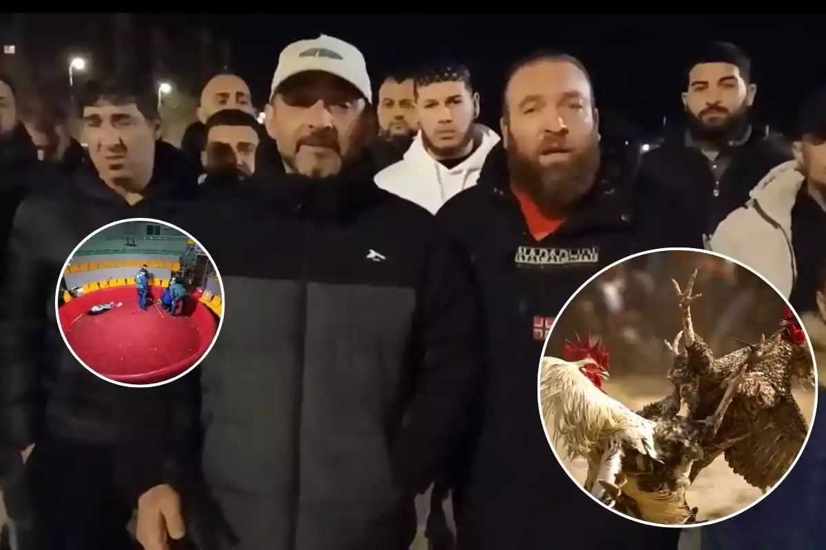 Un grupo de personas se encuentra reunido al aire libre por la noche; en la imagen se destacan dos círculos que muestran una arena vacía y una pelea de gallos.