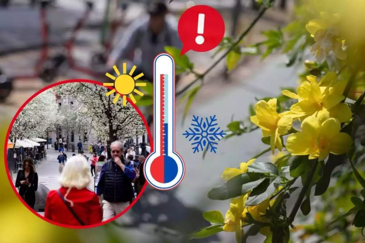 Imagen de fondo de unas flores amarillas en primavera junta otra imagen de varias personas paseando abrigadas por la calle con árboles en flor a su alrededor y un emoticono de un termómetro con frío y calor