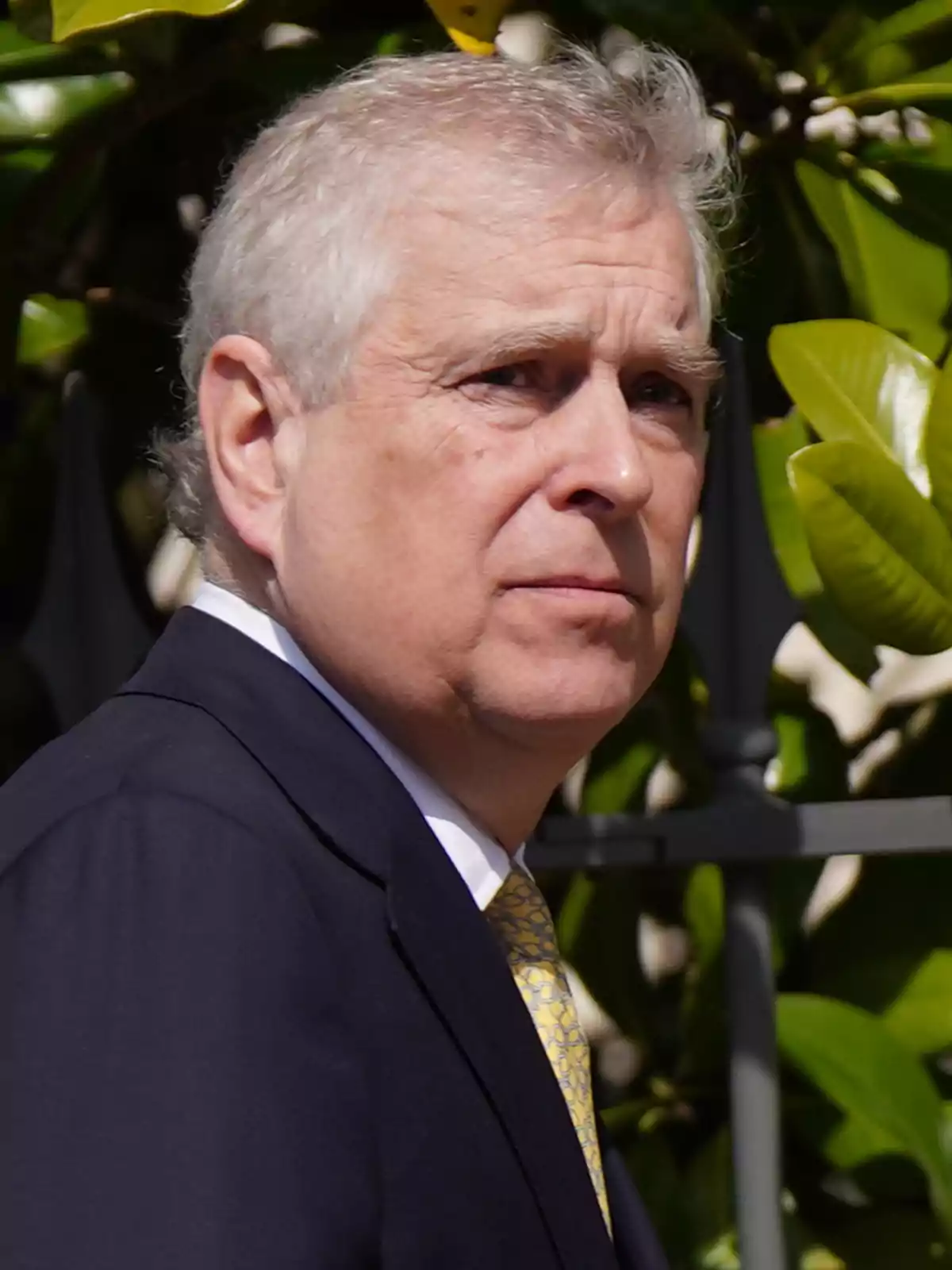 Prince Andrew in a dark suit and yellow tie, in profile, outdoors with green leaves in the background Prince Andrew in a dark suit and yellow tie, in profile, outdoors with green leaves in the background
