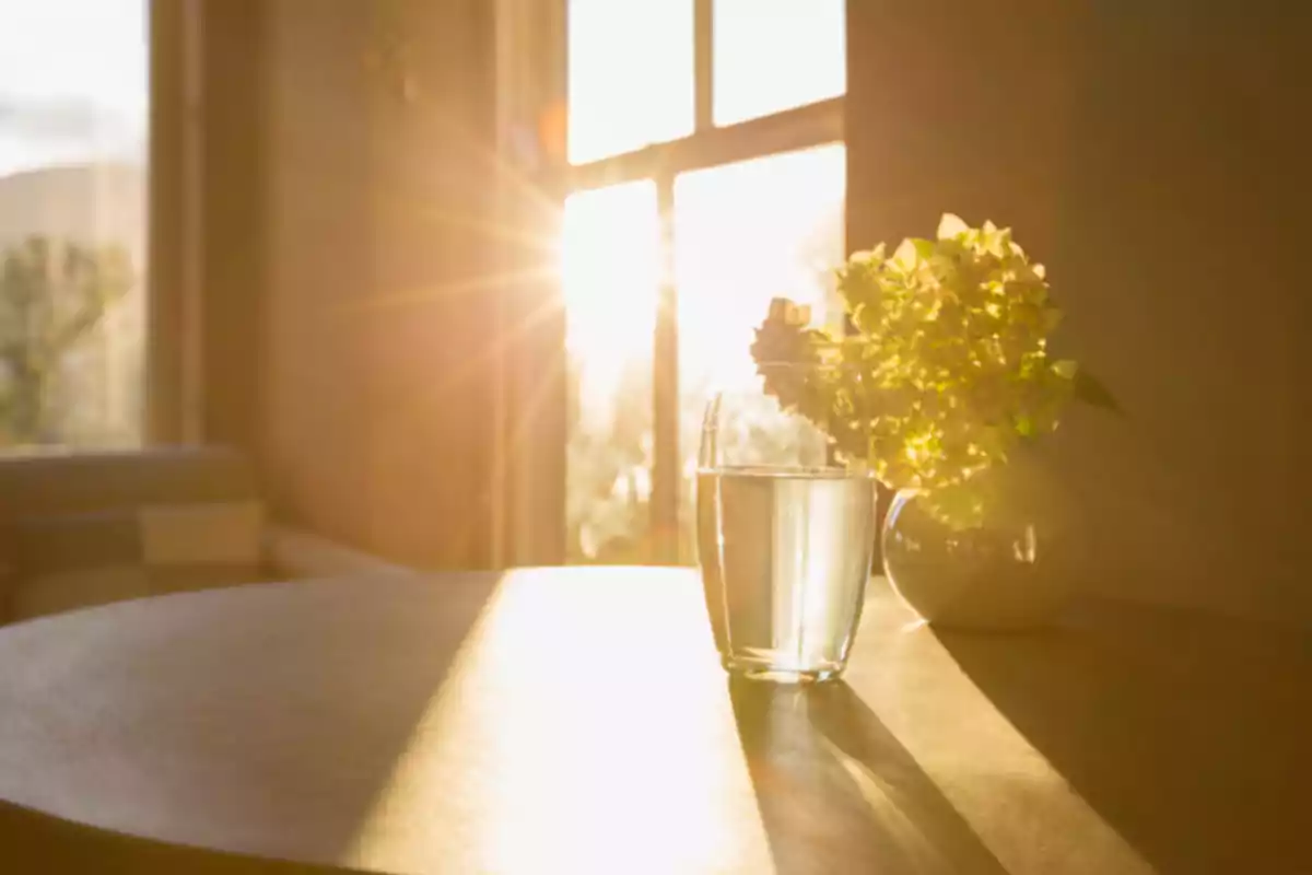 Un vaso de agua y un jarrón con flores sobre una mesa iluminada por la luz del sol que entra por una ventana.