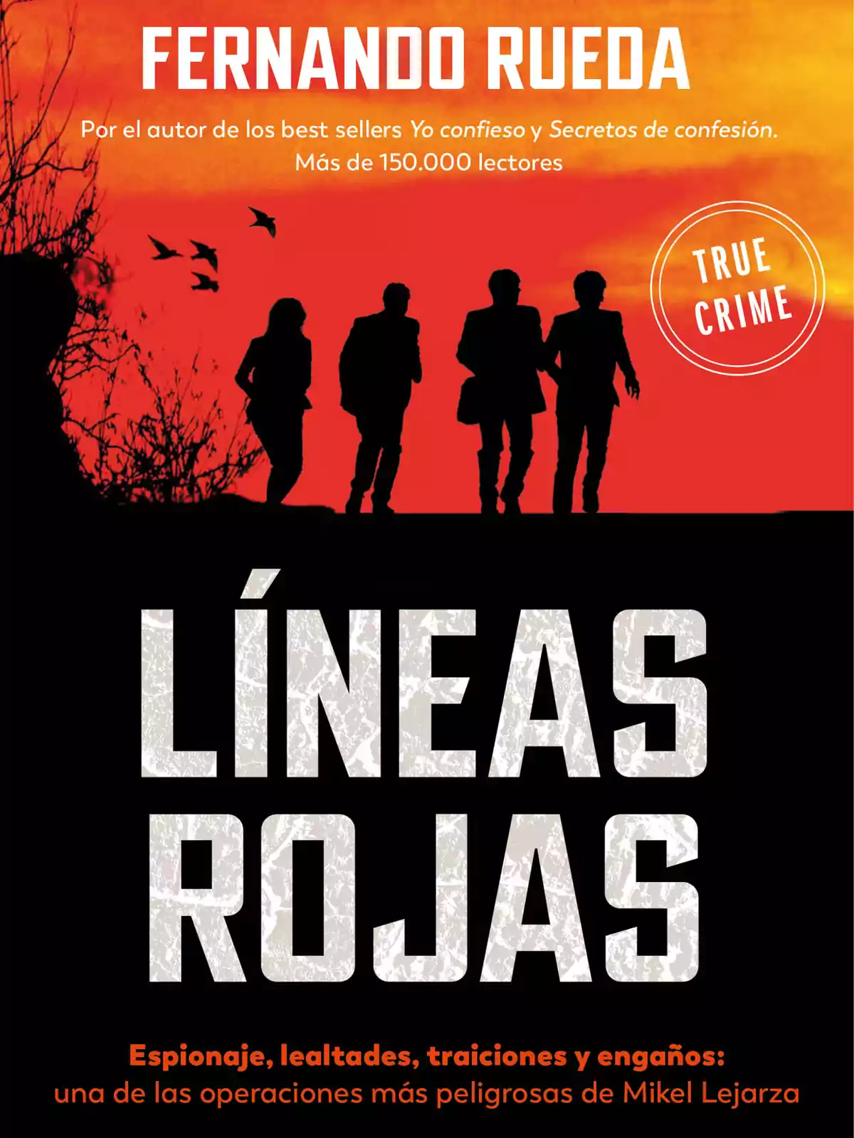 Portada del libro 