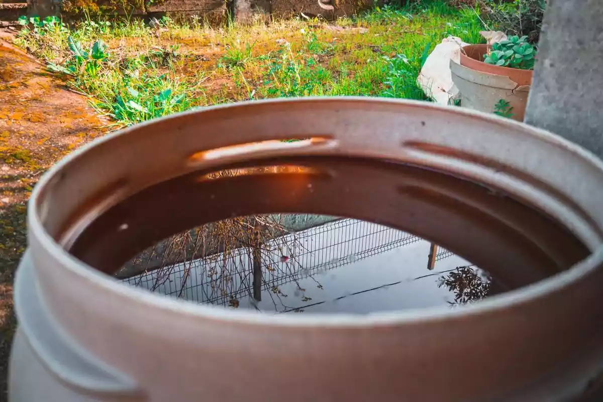 Un barril lleno de agua refleja el entorno verde y soleado de un jardín.