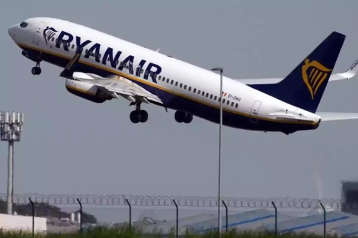 Un avión despegando en un día nublado.