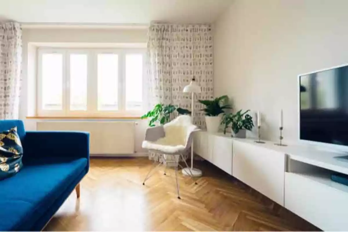 Una sala de estar moderna con un sofá azul, una silla con manta, plantas en macetas, un mueble blanco y un televisor, con luz natural entrando por una gran ventana.