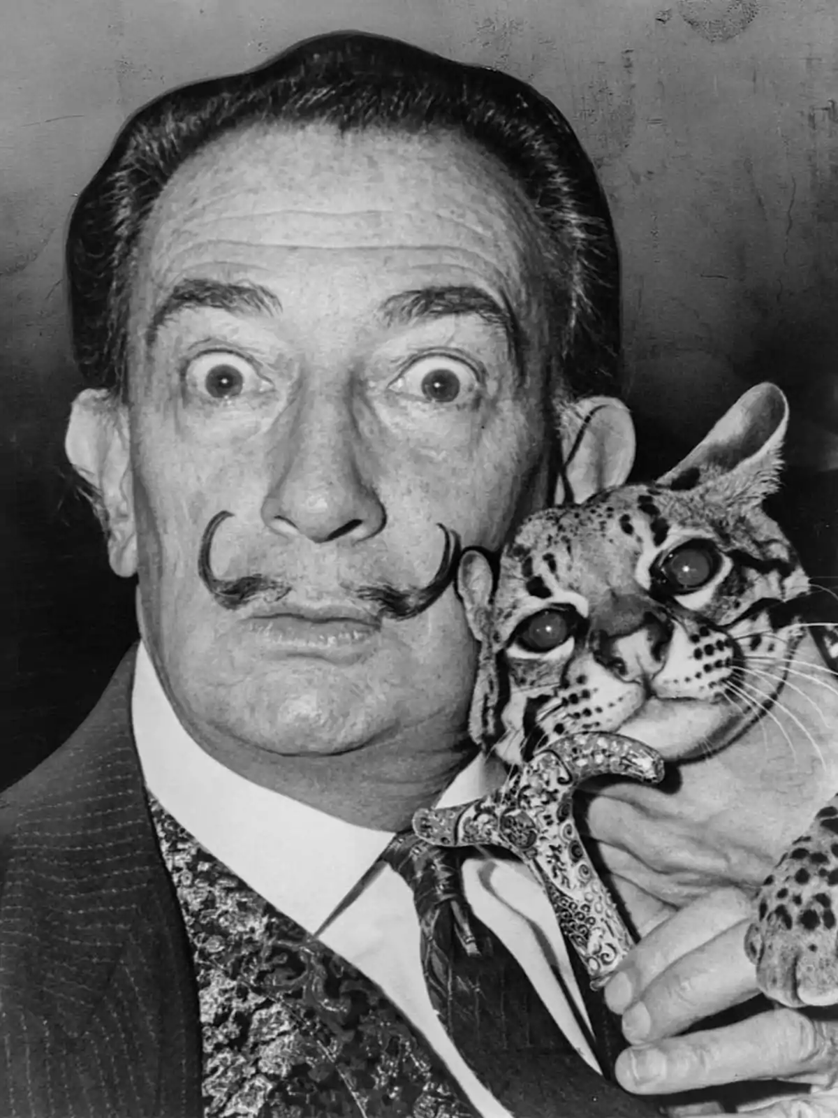 Un hombre con bigote prominente sostiene un felino pequeño mientras mira sorprendido a la cámara. Un hombre con bigote prominente sostiene un felino pequeño mientras mira sorprendido a la cámara.