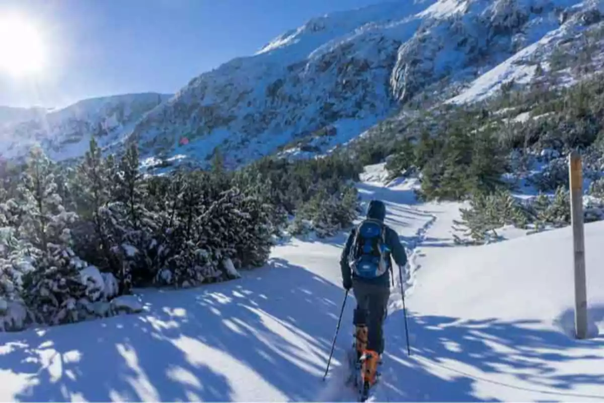 Persona caminando con esquís en un sendero nevado rodeado de árboles y montañas bajo un cielo despejado y soleado.