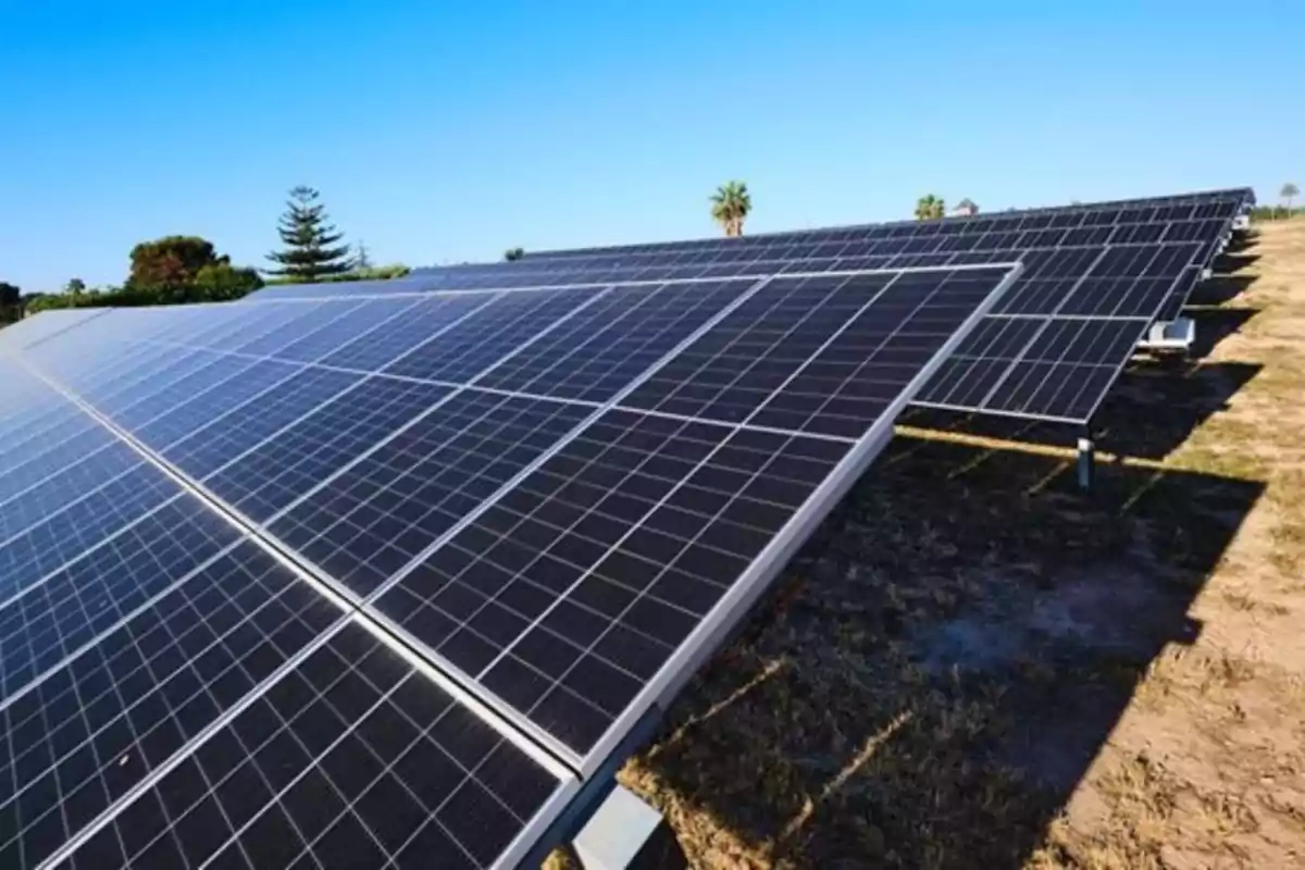 Paneles solares en un campo bajo un cielo despejado.