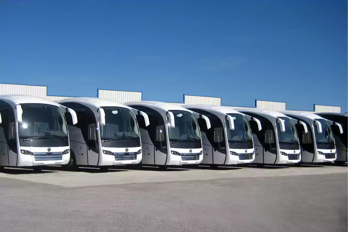 Una fila de autobuses blancos estacionados en un aparcamiento bajo un cielo despejado.