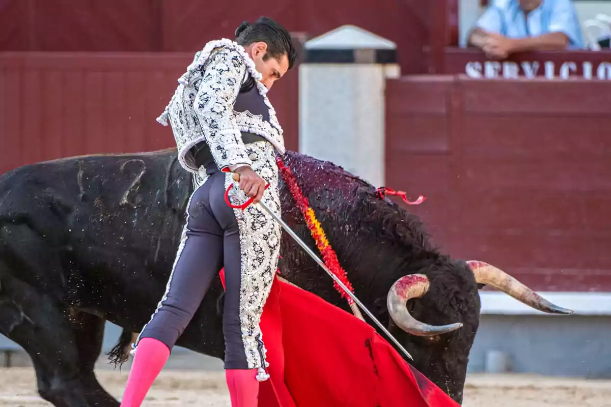 Un torero en plena faena con un toro en una plaza de toros.