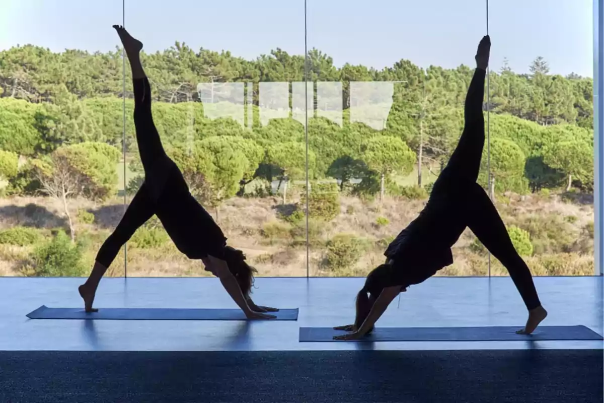 Dos personas practicando yoga en una sala con grandes ventanales y vista a un paisaje natural.