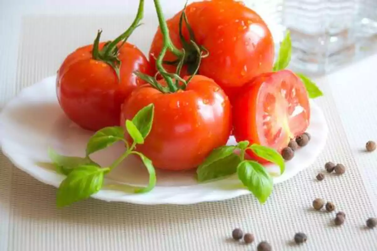 Tomates frescos en un plato blanco adornados con hojas de albahaca y granos de pimienta.