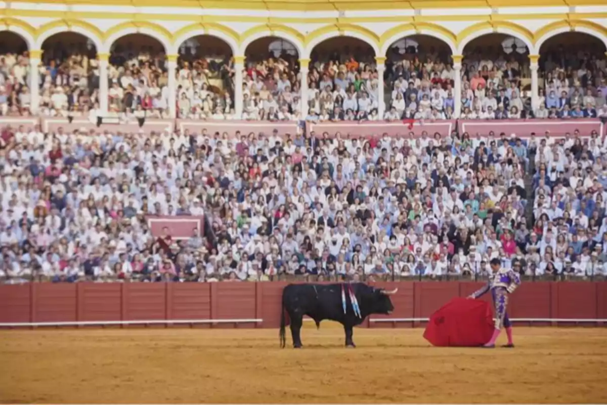 Un torero en la plaza de toros frente a un toro mientras el público observa desde las gradas.