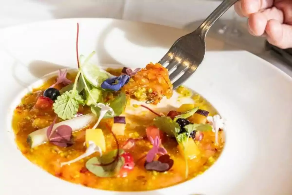 Un plato gourmet con una presentación colorida y una persona usando un tenedor para tomar un bocado.