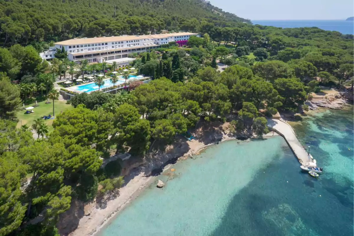 Vista aérea de un hotel rodeado de árboles junto a una playa de aguas cristalinas y un muelle