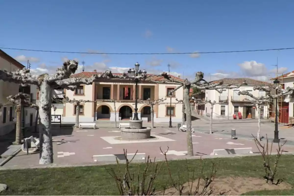 Plaza de un pueblo con árboles podados y una fuente central frente a un edificio de estilo tradicional.