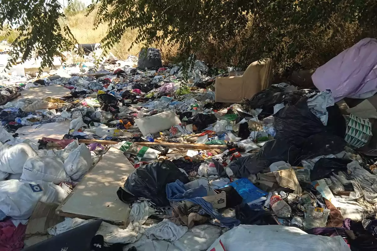Un área al aire libre llena de basura y desechos, incluyendo bolsas de plástico, ropa, muebles y otros objetos, bajo la sombra de un árbol.
