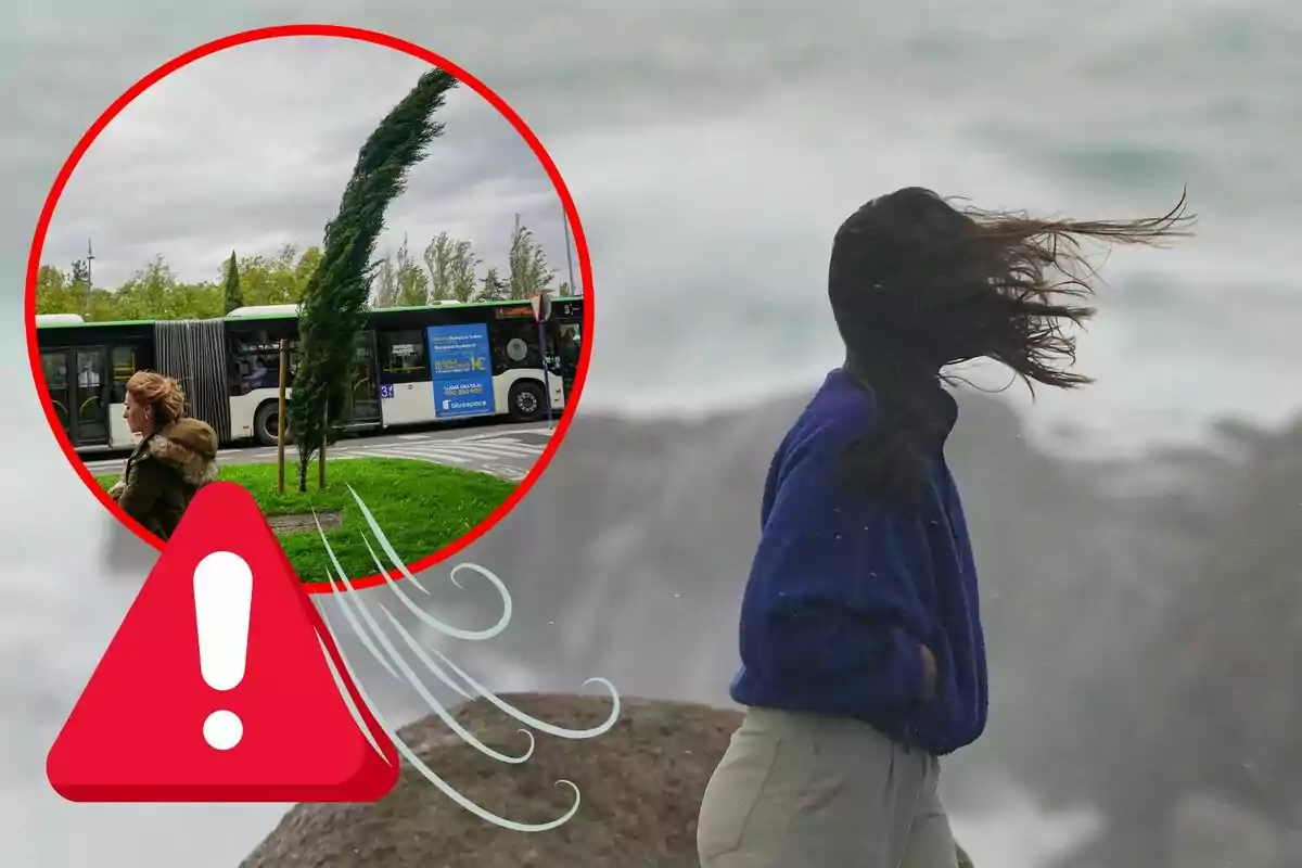 Una persona con el cabello volando por el viento fuerte y un árbol inclinado en un círculo rojo con un símbolo de advertencia.