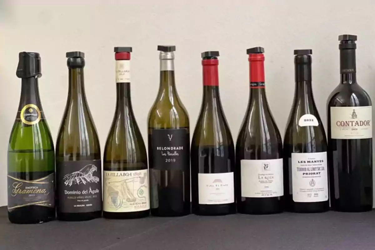 Ocho botellas de vino de diferentes marcas y estilos alineadas sobre una mesa con fondo claro Ocho botellas de vino de diferentes marcas y estilos alineadas sobre una mesa con fondo claro