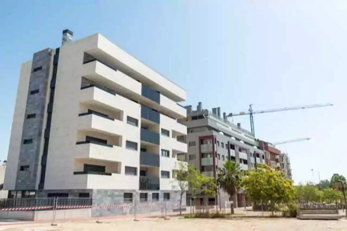 Edificios modernos de varios pisos con grúas de construcción en el fondo y árboles en la parte delantera.