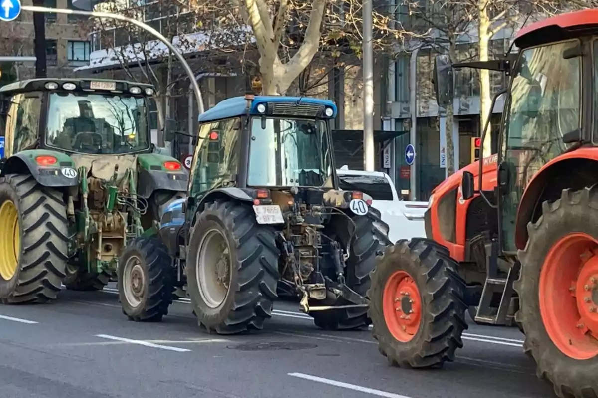 ** Tres tractores están estacionados en una calle urbana. Los tractores son de diferentes colores