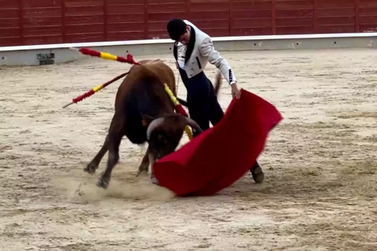 Un torero en una plaza de toros realiza una faena con un capote rojo mientras el toro embiste.