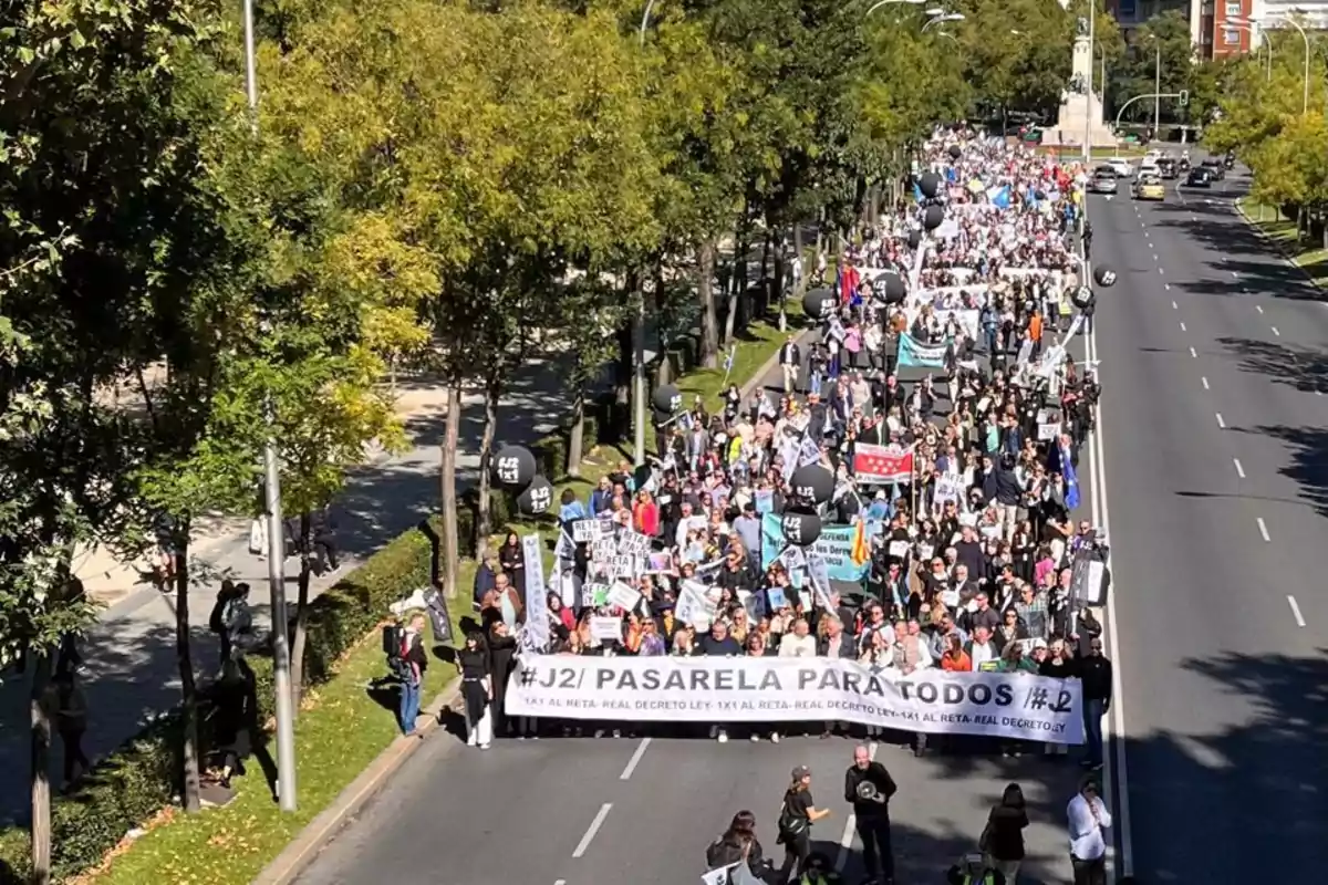 Una multitud de personas marchando por una avenida con árboles a los lados, llevando pancartas y globos negros.