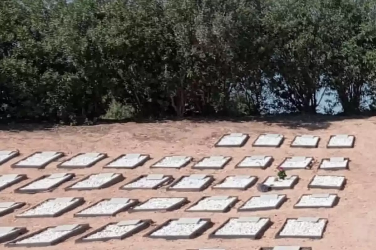 Una serie de tumbas alineadas en un cementerio al aire libre, con arbustos verdes al fondo.