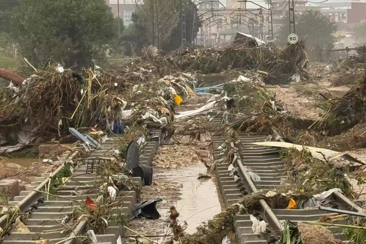 Vías de tren cubiertas de escombros y vegetación tras una inundación.