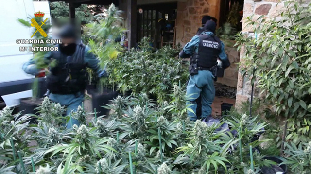 La_Guardia_Civil_con_marihuana