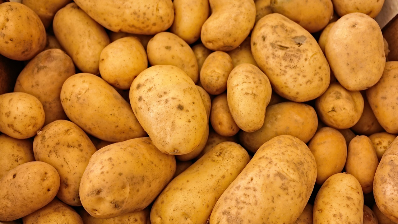 d-patatas