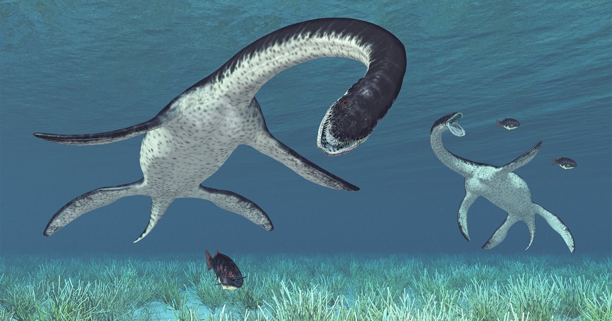 Centíficos definen monstruo Lago Ness pequeño plesiosaurio | El Cierre  Digital