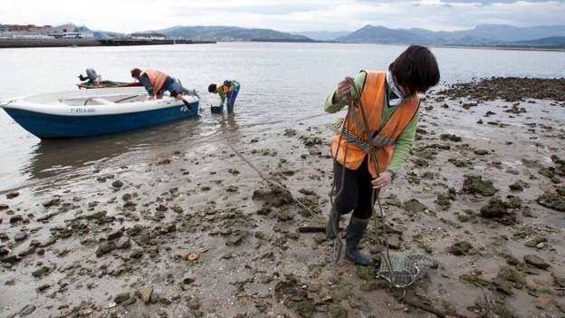 Trabajadores de los servicios de limpieza retirando los vertidos fecales de las aguas de Santoña.