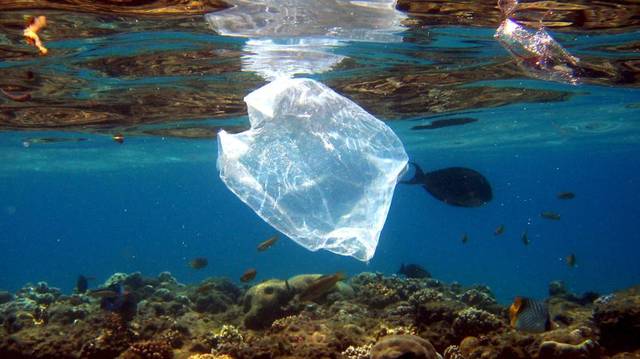 Los plásticos campan por el Mediterráneo.