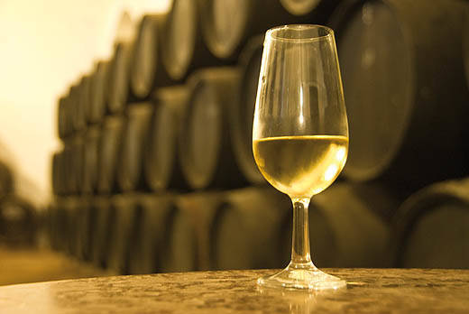 El sector del vino tiene varios grandes retos inmediatos: exportación  y conquista de nuevos públicos