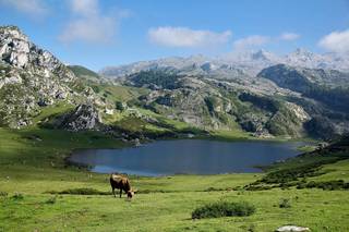 Asturias, sidra y fabada identifican a esta tierra premiada con nobles productos y contundentes platos    