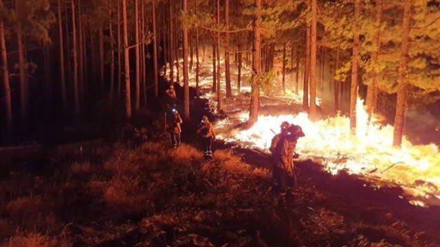 Los bomberos trabajando en las labores de extinción del fuego
