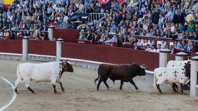 La Asociación El Toro de Madrid ha entregado los premios a mejor encierro y mejor toro de la temporada