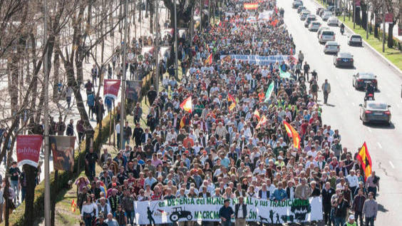 Una manifestación en el Paseo de la Castellana.