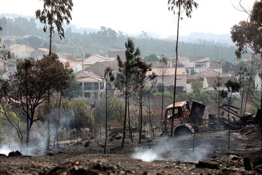En 2019, los incendios acabaron con 8.500 hectáreas en Portugal.
