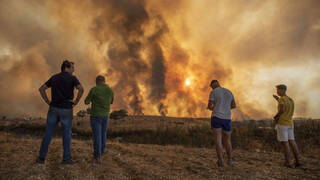 Arde la península: Dos incendios en Marbella, 10.000 hectáreas en Huelva y una barbacoa en Madrid generan el caos