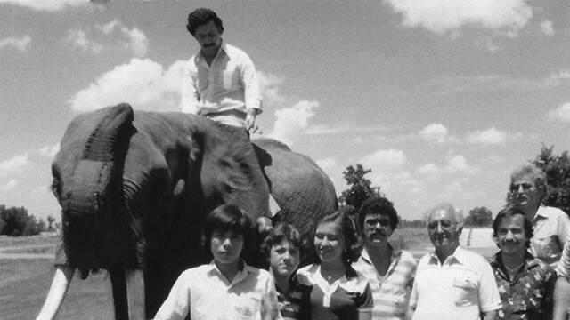 Pablo Escobar subido a un elefante.