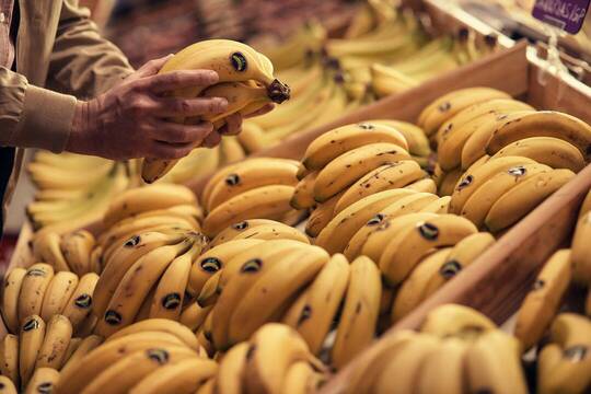 Plátano de Canarias. /Asprocan