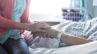 Primeras consultas para solicitar la aplicación de la eutanasia: Los pasos necesarios exigidos